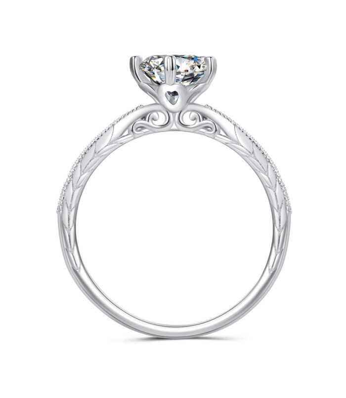 Momento PREMIUM MTMSR019-8 Momento PREMIUM MTMSR019-8