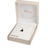 Disney ogrlica NS00040SZCL-157