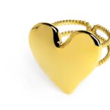 an-acc-a-doppia-fascia-cuore-irreg-3.jpg