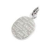 ssteel-charm-amico-polished-ssteel-charm-size-121070-mm-140-mm-thickness-on-the-top-welded-ring-with-4-mm-diameter-on-th-1.jpg