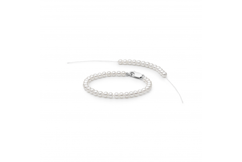 FORW445-B14cm-800x536-1.png FORW445-B14cm-800x536-1.png